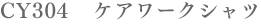 cy304
